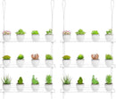 Clear Hanging Window Plant Shelves,2-Pack 3-Tier,Indoor Windows Wall Hanging Plant Stand Flower Display,Flower Pot Organizer Storage for Window Grow Herbs,Microgreens,Succulents,Flower,16-Inch by GreenHaven Gardens