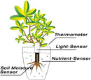 Soil Moisture Meter 4 in 1,Plant Water Monitor,Automatically detect Moisture/Temperature/Light/Fertility,Can Connect to Mobile Phone via Bluetooth,Hygrometer Sensor for Indoor Plants (3pc) by GreenHaven Gardens