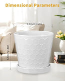 EFISPSS Ceramic Plant Pots, 6 Inch Pots for Indoor Plants, Planters with Drainage Hole and Saucer, Flower Pots Desktop Office Windowsill Decoration Gift Set of 2 - White by GreenHaven Gardens