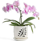 Ceramic Orchid Pot, 6 Inch Orchid Pots with Holes and Saucer for Indoor/Outdoor Plants Drainage & Air Circulation, White Orchid Planter for Repotting or New Plants by GreenHaven Gardens