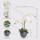 Faux White Orchid Plant, Premium Artificial Indoor Flower Display Stands 25-Inches with Beautiful Sculptural Blooms and Foliage That Lasts Forever, Grey Planter Pot Included by CozyNest Decor