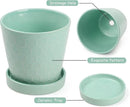 EFISPSS Ceramic Plant Pots –4”+5”+6” inch Set of 3, Planters with with Drainage Holes and Ceramic Tray, Indoor Flower Pot Gardening Home Desktop Office Windowsill Decoration Gift(Mint Green) by GreenHaven Gardens