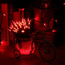 Brizled Red Christmas Lights, 33ft 100 LED Connectable Christmas String Light, 120V UL Certified LED Light String for Indoor & Outdoor, Xmas Tree, Garden, Party and Holiday Decoration by TinyTreasures Baby Boutique