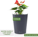 Dexceder 6x7 Self Watering Planter Indoor Outdoor, Matte Table Flower Plant Pot with Water Level Indicator (Slate Gray) by CozyNest Decor
