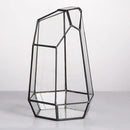 NCYP Small Glass Geometric Terrarium - 4.9 x 3.9 x 7.4 Inches Irregular Clear Planter Pot for Succulents, Cactus, Indoor Garden Tabletop Decoration, Centerpiece (No Plants, No Door) by CozyNest Decor