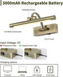 Wireless Picture Lights Rechargeable Gallery Lighting Battery Picture Frame Light with Remote and Timer, Adjustable Art Light for Paintings, Portraits, Antique Bronze Finish 12'' Inch 2W 2700K by CozyNest Decor