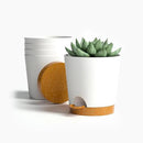 4 inch Small Plant Pots for Outdoor Indoor Plants, 5 Pack Planters with Drainage Holes and Tray, Small Self Watering Pots for Succulent,Cactus, Aloe and Other Plants (White) by GreenHaven Gardens