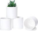 D'vine Dev 4 Pack 4 Inch Modern Plastic Plant Pots, Small Garden Planters for Plant with Drainage Holes and Saucers, White Color, 74-Z-E-2 by GreenHaven Gardens