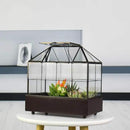 Large Tall Plant Terrarium Glass Greenhouse with Lid and Tray, Indoor Tabletop Orchid Succulent Cacti Kit 9.5'X9.8'X5.6' by GreenHaven Gardens