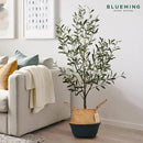 Plant Basket – Small Seagrass Planter Pot for Olive Trees, Woven Wicker Planter 8-9 Inches for Indoor Tall Artificial Plants (Black Bottom, Medium) by GreenHaven Gardens
