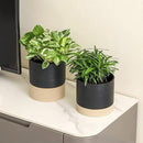 Nihow Ceramic Plant Pot: 6 Inch Planter with Drainage Hole & Saucer for Indoor & Outdoor Plants - Cylinder Round Flower Pot for Succulent/Herbs/Violets - Black & Brown by GreenHaven Gardens