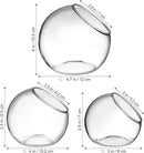 Mipcase 3 Pcs Plant Terrarium Plant Holder Terrarium Air Plant, 3 Round Glass Vase for Succulents, Clear Bubble Planter for Home Decor, Oblique Opening Glass Bowls Succulent Orbs Mini Tank by GreenHaven Gardens