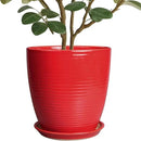 Ceramic Planter 10 Inch - Ceramic Pot for Plants Large Plant Pot Indoor with Drainage Hole and Saucer Round Outdoor Planter Modern Flower Pot for Garden House Red by GreenHaven Gardens