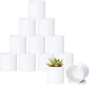 D'vine Dev 12 Pack 3.5 Inch Mini Plastic Plant Pots, Small Garden Planters for Plant with Drainage Holes and Saucers, White Color, 74-Z-D-4 by GreenHaven Gardens