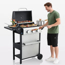 3-Burner Propane Gas BBQ Grill with Porcelain-Enameled Cast Iron Grates and 2 Foldable Side Table, 25,650 BTU Stainless Steel Grill for Outdoor Camping Barbecue Grilling Backyard Cooking - Silver by GreenHaven Gardens