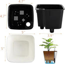 yarlung 6 Pack Self Watering Planter with Water Level Indicator, 5 Inch Plastic Plant Flower Pots Nested Container for Indoor Plants, Herbs, Aloe, Outdoor Gardening by GreenHaven Gardens
