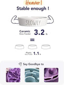 Ceramic Slow Feeder Dog Bowls Small Breed, 0.6 Cups Dog Food Dish for Fast Eaters, Puzzle Bowl for Small Dogs and Cats,White by CozyNest Decor