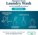 Natural Laundry Detergent for Sensitive Skin | Eco Friendly, Plant Based, Baby Clothes Safe | Clean & Easy Powder to Liquid, 3 Pack Detergent + 1 Refillable Jug | Signature Scent 150 Loads by TinyTreasures Baby Boutique