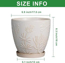 6 Inch Ceramic Plant Pot for Indoor Plants Outdoor Round Planter Flower Pot with Drainage Hole and Saucer for Home Garden Office Decor White by GreenHaven Gardens