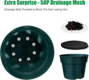 50 Pack 6 Inch Nursery Pots, Planting Grow Plastic Flower Pots, Thick Planters with Drainage Holes for Outdoor/Indoor Plants Succulent Herb (Green) by GreenHaven Gardens