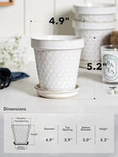 LE TAUCI Ceramic Plant Pots, 4.9 Inch Flower Pots with Drainage Hole & Saucer, Embossed Planter Pots for Indoor Plant Succulent, Orchid, Cactus, Home Decor - Set of 4, Arctic White by GreenHaven Gardens