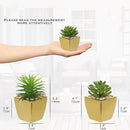 Hollyone Small Succulents Artificial 3 Pcs Faux Succulents with Gold Pots Mini Fake Succulent Plants Indoor Plant Ceramic Pots for Modern Office Desk Bathroom Shelf Living Room Home Decor by GreenHaven Gardens