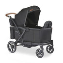 Larktale Adjustable Stroller, 2 Seater Kids Wagon, 120 Pound Capacity, Sprout V2, Black by TinyTreasures Baby Boutique