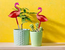 Adabocute Plant Watering Globes, Flamingo Self Watering Globes, Glass Self Watering Planter Insert, Gradient Hot Pink Plant Watering Devices, Automatic Plant Waterer Indoor, Watering Bulbs, 2 Pack by GreenHaven Gardens