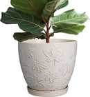 Pots for Plants 10 Inch - Ceramic Planter Large Plant Pot for Indoor Plants Outdoor Round Flower Pot with Drainage Hole and Saucer Home Garden Decor White by CozyNest Decor