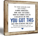 nspirational Wood Sign, Wooden Plaques Table Decor, Office Desk Sign, Farmhouse Home Decorate, Affirmation Signs Decorate Gift, Encouragement Gift, In Case No Nobody Told You Today Signs by CozyNest Decor