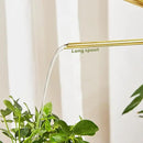 Watering Can for Indoor Plants, 50 oz/1.5L Stainless Steel Watering Can Pot with Long Spout, Garden Watering Cans with Comfortable Handle for Indoor House Plants Bonsai Flower Decorative by GreenHaven Gardens