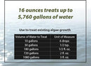 Bloom Buster Pond Algae Control - 16oz - Fast Acting Algaecide, Use in Fountains & Outdoor Ponds Containing Koi & Other Fish - EPA Registered by GreenHaven Gardens
