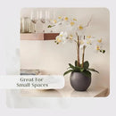 Faux White Orchid Plant, Premium Artificial Indoor Flower Display Stands 25-Inches with Beautiful Sculptural Blooms and Foliage That Lasts Forever, Grey Planter Pot Included by CozyNest Decor