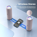 RIENOK Portable Bluetooth Speaker 30W Dual Pairing True Wireless Stereo HD Sound IPX7 Waterproof Outdoor Sport Shower Wireless Speaker Bluetooth 5.3 for Home Party by TinyTreasures Baby Boutique