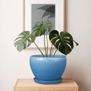Ceramic Planter Pot 10 Inch - Ceramic Plant Pot for Indoor Outdoor Plants, Large Flower Pot with Drainage Hole and Saucer, Blue by GreenHaven Gardens