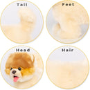Electronic Walking Pomeranian Stuffed Dog Toy, Realistic Interactive Puppy Robot Pet Dog, Walking, Barking,Wagging Tail & Talking,Present Pet Gifts for 3+ Year Boys Girls by TinyTreasures Baby Boutique