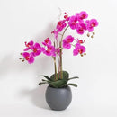 Faux Pink Orchid Plant, Premium Artificial Indoor Flower Display Stands 25-Inches with Beautiful Sculptural Blooms and Foliage That Lasts Forever, Grey Planter Pot Included by CozyNest Decor