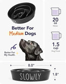 Slow Feeder Dog Bowl - 1.5 Cups Ceramic Puzzle Feeder for Small & Medium Breeds, Maze Design Pet Dish for Puppy & Fast Eaters, Black Non-Slip Bowl to Control Eating Speed by CozyNest Decor