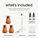 Counterstand Set – Vase Plant for Indoor Edible Garden Kit for Herbs & Lettuce – Small-Space Hydroponic System – Home Decor & Gifting – with Live Plants by GreenHaven Gardens