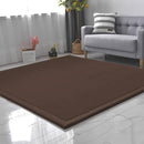 Loartee Coral Velvet Crawling Rug (4'11" X 4'11") for Toddlers - Coffee Area Rug Play Mat, Yoga Mat Exercise Pad, Carpet by TinyTreasures Baby Boutique