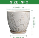 8 Inch Ceramic Pots for Plants Large Planter Pot with Drainage Hole and Saucer Round Flower Pot for Indoor Outdoor Decor, White by GreenHaven Gardens