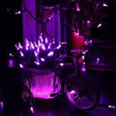 Brizled Purple Christmas Lights, 2 Pack 33ft 100 LED Christmas String Lights, 120V UL Certified Purple Halloween Light Connectable Mini Xmas Tree Light Outdoor for Halloween Xmas Party Wedding Holiday by TinyTreasures Baby Boutique