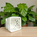 Orchid Pots with Holes Square Ceramic Orchid Planter Pots 5.5 inch (White) by GreenHaven Gardens