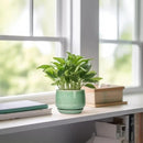 G EPGardening Ceramic Plant Pot - 4 inch Plant Pots with Drainage Hole & Saucer, Small Pots for Plant Indoor Outdoor, Modern Round Planter, Decorative Flower Pot, Room Decor, House Warming Gift, Green by GreenHaven Gardens