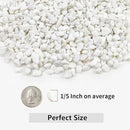 5LB Succulent and Cactus Gravel Pebbles, 1/5 Inch White Natural Decorative Polished Stones, River Rocks for Plants, Vases, Aquariums, Terrarium and Outdoor Gardening by CozyNest Decor