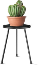 Plant Stand Indoor, Mid Century Wood Plant Stand Black Plant Table for Flower Pots, Tall Metal Plant Holder, Modern Home Decor Small Round Side End Table (11.8"x16") by GreenHaven Gardens