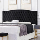 24KF Upholstered Tufted Button Velvet Headboard,Comfortable Fashional Headboard King/CA King Size,Black by CozyNest Decor