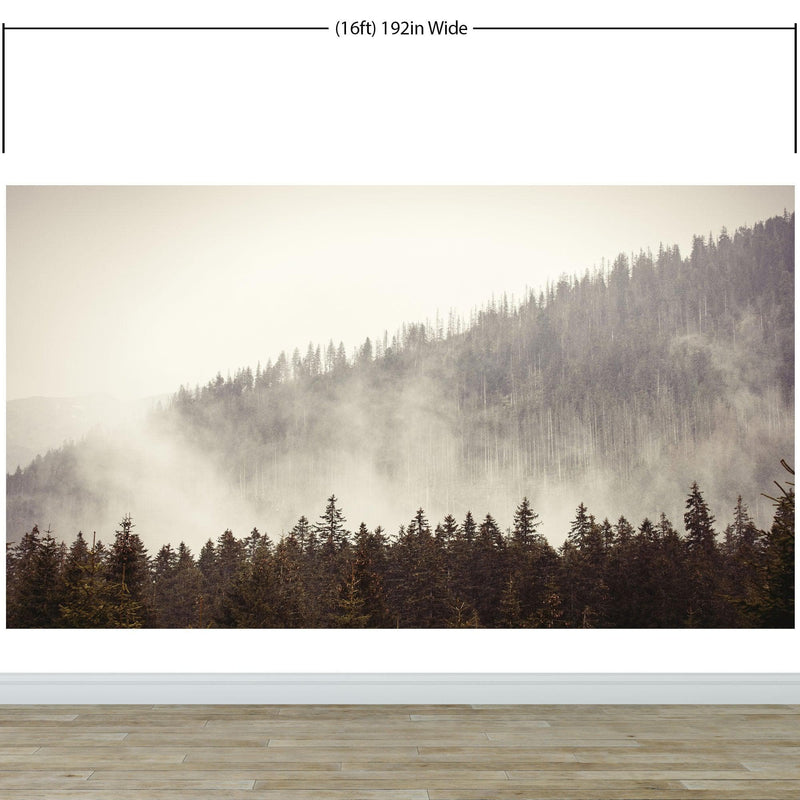 Foggy Misty Forest Tree Over Mountain Wall Mural.