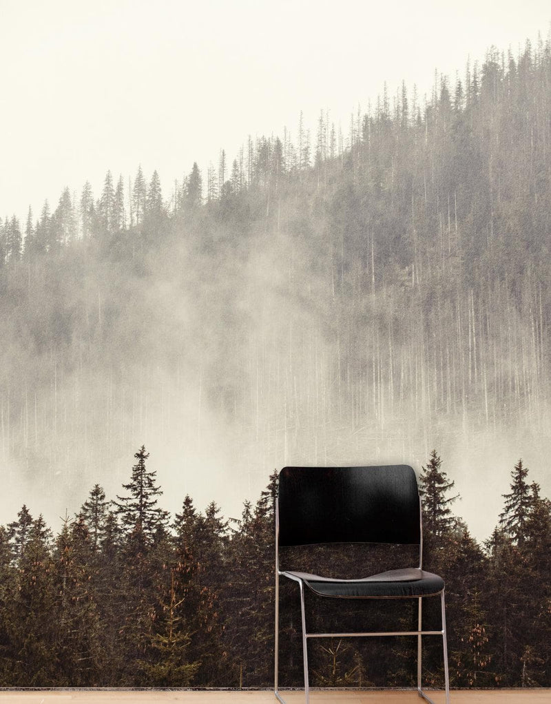 Foggy Misty Forest Tree Over Mountain Wall Mural.