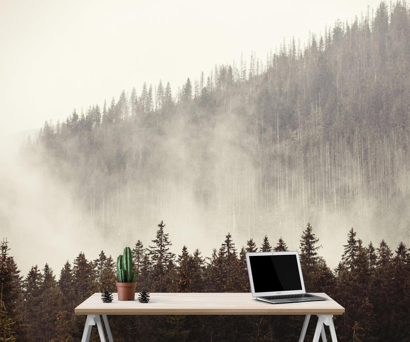 Foggy Misty Forest Tree Over Mountain Wall Mural.